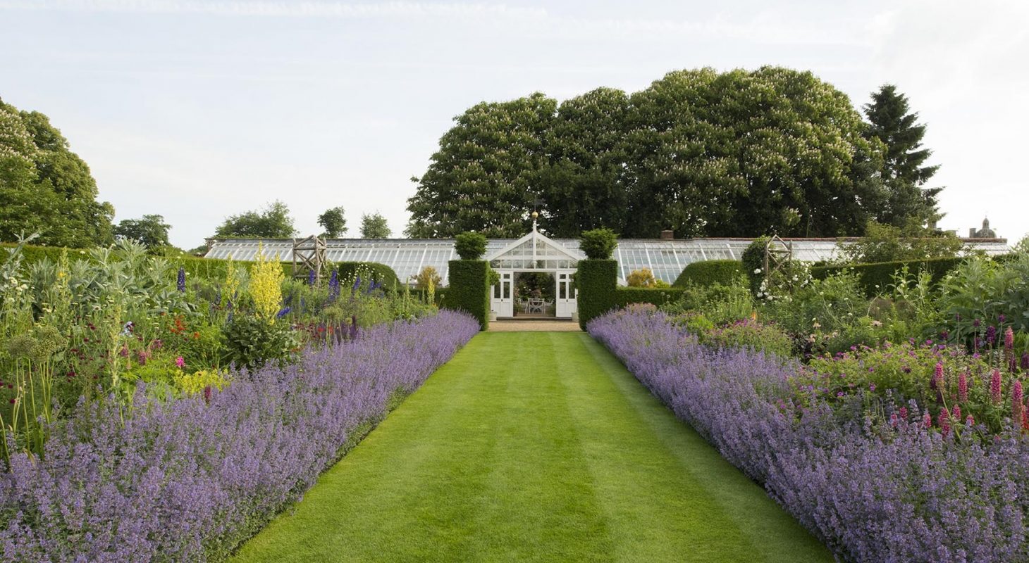 Beautiful manicured lawn and lavender border at Haughton Hall in Norfolk